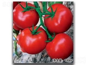 ��Ӱ��HT11140��-���ѷN��-�մ��r(n��ng)�I(y��)