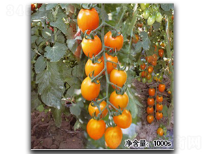 QQ�S�@-���ѷN��-�մ��r(n��ng)�I(y��)