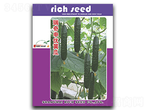 �����ꃞ(y��u)�S��-�S�ϷN��-����N�I(y��)