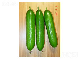 ؐ˼��-�S�ϷN��-����N�I(y��)