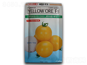 �S�L�ߠ���-���ѷN��-����N�I(y��)