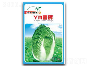 YR����-�ײ˷N��-����N�I(y��)