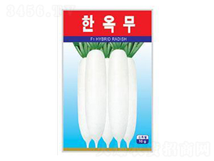 ����-�}���N��-����N�I(y��)