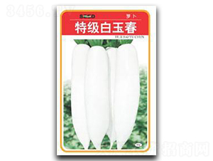 �ؼ�(j��)����-�}���N��-����N�I(y��)