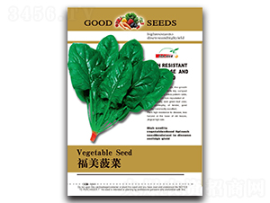 ��������-���˷N��-����N�I(y��)