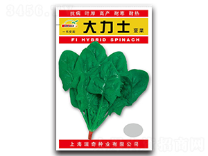 ����ʿ-���˷N��-����N�I(y��)