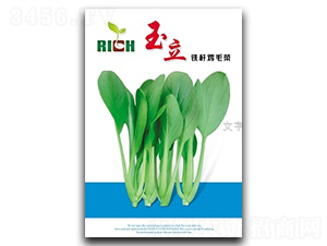 �����uë��-�uë�˷N��-����N�I(y��)