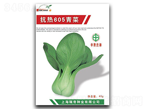 ����605-��˷N��-����N�I(y��)