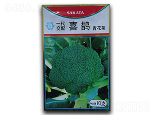 ϲ�o-���m���N��-����N�I(y��)