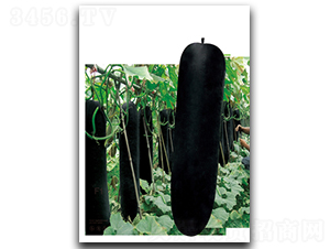 �ڴ��-�ϹϷN��-����N��