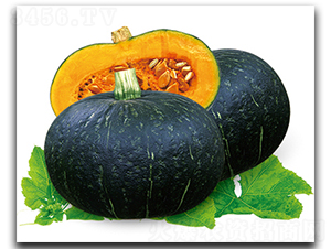 �ڌ�����S-3-�ϹϷN��-����N��