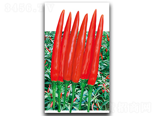 �G�t928-�����N��-����N��