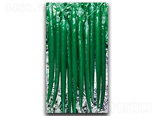 �������G-�����N��-����N��