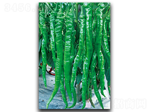 ��������-�����N��-����N��