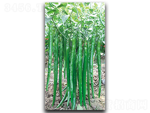 �r���L��-�����N��-����N��