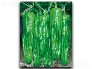 �f�Ҙ�-�����N��-����N��