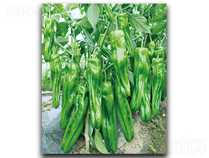 �������218-�����N��-����N��