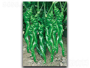 ����S100-�����N��-����N��