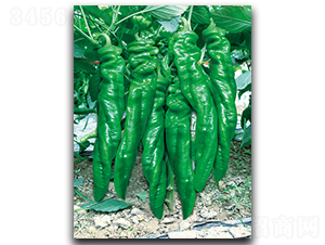 ����S-8199-�����N��-����N��