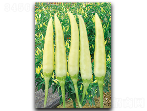 ����S-601-�����N��-����N��