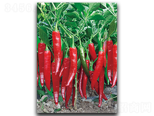 ����S-318-�����N��-����N��