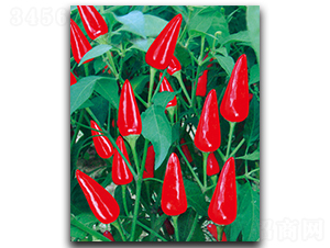 ����S-5����-�����N��-����N��