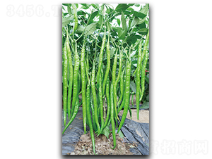 ����5055-�����N��-����N��