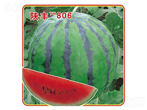 ��S806-���ϷN��-�s�S�N�I(y��)