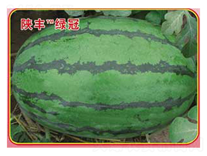 ��S�G��-���ϷN��-�s�S�N�I(y��)