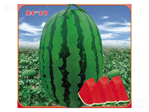 ��S��̖-���ϷN��-�s�S�N�I(y��)