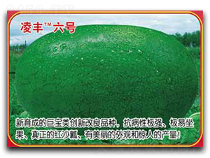 ���S��̖(h��o)-���ϷN��-�s�S�N�I(y��)