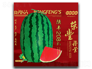 ��S208-���ϷN��-�s�S�N�I(y��)