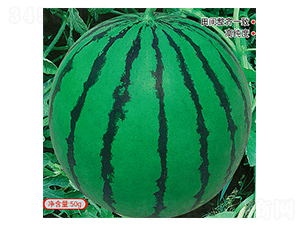 ��Ʒ�w������-���ϷN��-�s�S�N�I(y��)