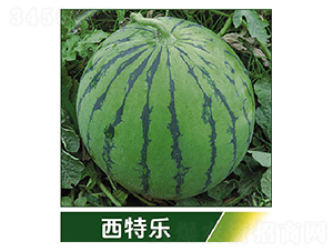 ���ؘ�(l��)-���ϷN��-�s�S�N�I(y��)