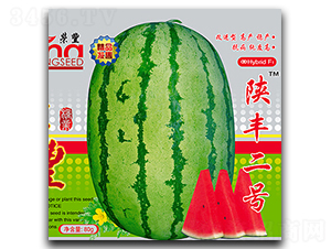 ��S��̖(h��o)-���ϷN��-�s�S�N�I(y��)