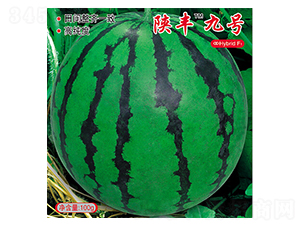 ��S9̖(h��o)-���ϷN��-�s�S�N�I(y��)