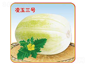 ������̖(h��o)-��ϷN��-�s�S�N�I(y��)