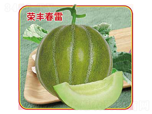 �s�S����-��ϷN��-�s�S�N�I(y��)