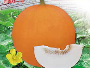 �ļ��tһ̖(h��o)-��ϷN��-�s�S�N�I(y��)