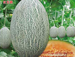 �ޟo(w��)��-��ϷN��-�s�S�N�I(y��)