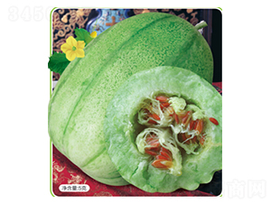 �t��-��ϷN��-�s�S�N�I(y��)