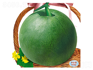 ������-��ϷN��-�s�S�N�I(y��)