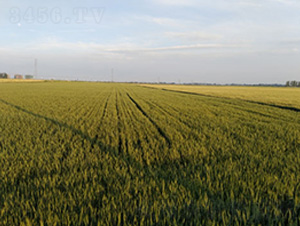 �´�6-С���N��-��ʥ�̷N�I(y��)