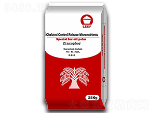 �~�\��12-6-8-�Ŷ�-�����Ƽ�