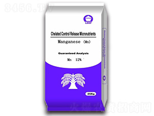 �����i��-�Ŷ�-�����Ƽ�