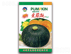 ����˹-�ϹϷN��-���÷N��