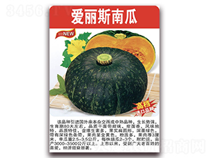 ����˹�Ϲ�-�ϹϷN��-���÷N��