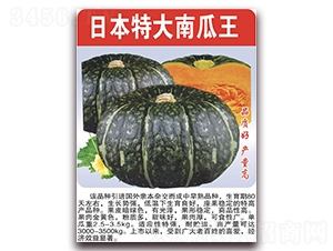 �ձ��ش��Ϲ���-�ϹϷN��-���÷N��