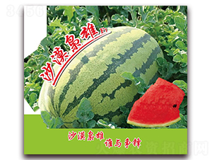 ɳĮ�n��-���ϷN��-���÷N��