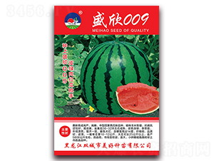 ʢ��009-���ϷN��-���÷N��